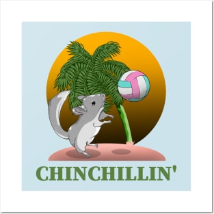 Chinchilla Chinchillin' Posters and Art